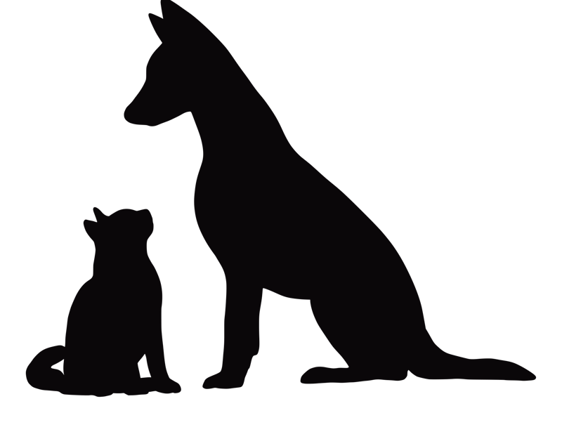 hond en kat transparant.png